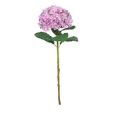 Botanica Giant Purple Mop Head Hydrangea (73cm) Botanica Giant Purple Mop Head Hydrangea (73cm)
