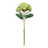 Botanica Giant Green Mop Head Hydrangea (73cm)