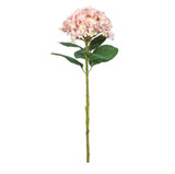 Botanica Giant Pink Mop Head Hydrangea (73cm) Botanica Giant Pink Mop Head Hydrangea (73cm)
