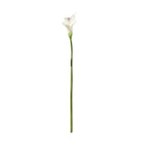 Botanica White Calla Lily (60cm) Botanica White Calla Lily (60cm)