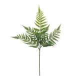 Botanica Green Fern Leaf (60cm) Botanica Green Fern Leaf (60cm)