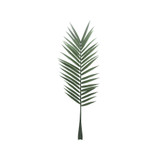 Botanica Palm Leaf (147cm) Botanica Palm Leaf (147cm)