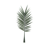 Botanica Palm Leaf (127cm) Botanica Palm Leaf (127cm)
