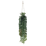 Botanica Hanging Plant (82cm) Botanica Hanging Plant (82cm)