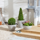 Stone Valencia Planter (30cm)