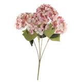 Essential Pink Hydrangea Bush (36cm) Essential Pink Hydrangea Bush (36cm)
