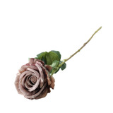 Essential Taupe Garden Rose