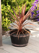 Black Oakwood Barrel Planter (34cm)