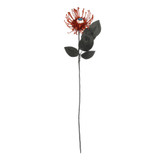 Spooky Flower with Eyeball (48cm) Spooky Flower with Eyeball (48cm)