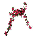 Essential Pink Bougainvillea Bush Essential Pink Bougainvillea Bush
