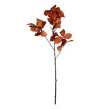 Essential Brown Chestnut Leaves (120cm) Essential Brown Chestnut Leaves (120cm)