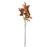 Essential Brown/Yellow Chestnut Leaves (120cm) Essential Brown/Yellow Chestnut Leaves (120cm)
