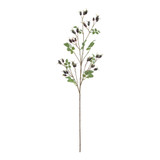 Dark Purple Rose Hip Spray (95cm)