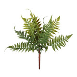 Essential Ladder Fern (33cm) Essential Ladder Fern (33cm)