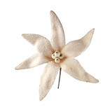 Cream Furry Poinsettia (30cm) Cream Furry Poinsettia (30cm)