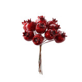 Red Shiny Haw Apple (12cm) Red Shiny Haw Apple (12cm)