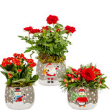 Christmas Characters Concrete Pot Trio (Assorted Designs)