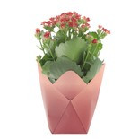 Red Colour Wash Folded Pot Cover