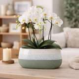 Hortus Green & White Bordeaux Stoneware Pot (13cm H x 26cm Dia)