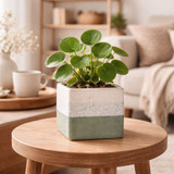 Hortus Green & White Bordeaux Stoneware Cube (9.5cm H x 10.5cm W)