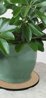 Cork Mat Surface Protector (25cm)