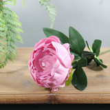 Essential Dusky Pink Arundel Garden Peony