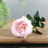 Essential Light Pink Arundel Garden Peony (57cm)