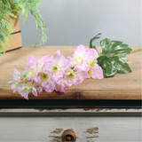 Essential Cream Pink Arundel Garden Delphinium (77cm)