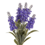 Blue Lavender in Bloom Bundle