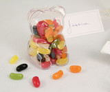Plastic Teddy Bear Favour Boxes