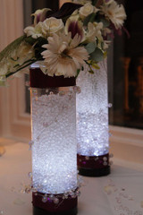 Glass Cylinder Vase (20cm x 10cm) 