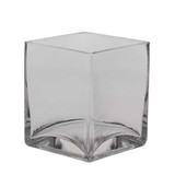 Glass Tank 10cm x 12cm Glass Tank 10cm x 12cm