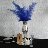 Royal Blue Ostrich Feathers (5 Pack)