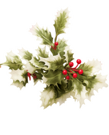 36cm Holly Spray 