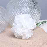 White Single Carnations (12 Stems) White Single Carnations (12 Stems)