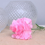 Pink Single Carnation (12 Stems) Pink Single Carnation (12 Stems)