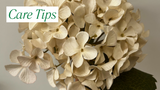How to Care for and Maintain Artificial Flowers