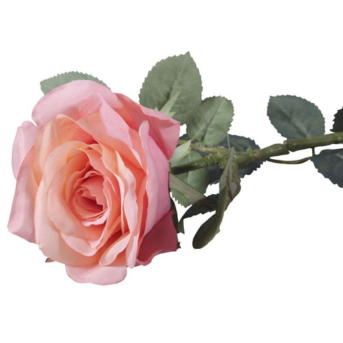 72cm Single Olivia Rose Peach 72cm Single Olivia Rose Peach