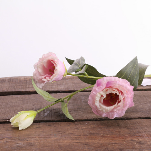 Lilac Lisianthus Spray Lilac Lisianthus Spray