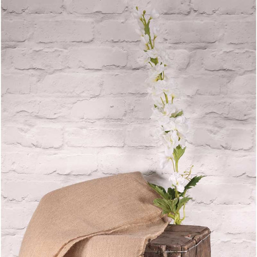 Cottage Garden Delphinium White Cottage Garden Delphinium White