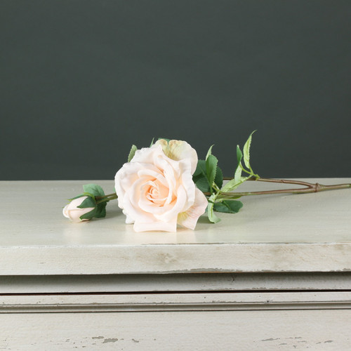 Tintagel Spray Rose Cream Tintagel Spray Rose Cream