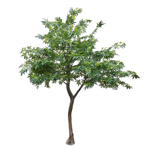 Artificial Green Japanese Maple Tree  (2.8m) Artificial Green Japanese Maple Tree  (2.8m)