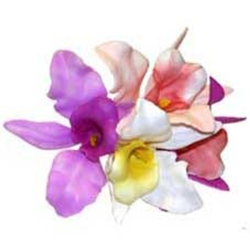 Assorted Orchid Pick (x100) Assorted Orchid Pick (x100)