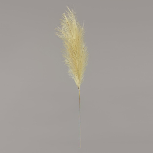 Luxury Pampas Pistachio Green Luxury Pampas Pistachio Green