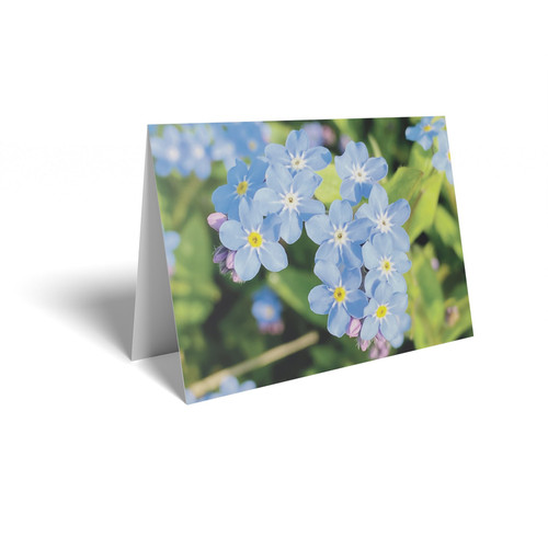 Forget Me Not Folded Card with Care Info (pack of 25) Forget Me Not Folded Card with Care Info (pack of 25)