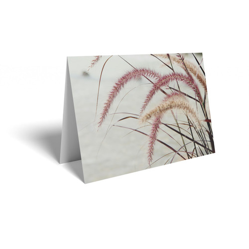 Pink Grasses Folded Card with Care Info (pack of 25)