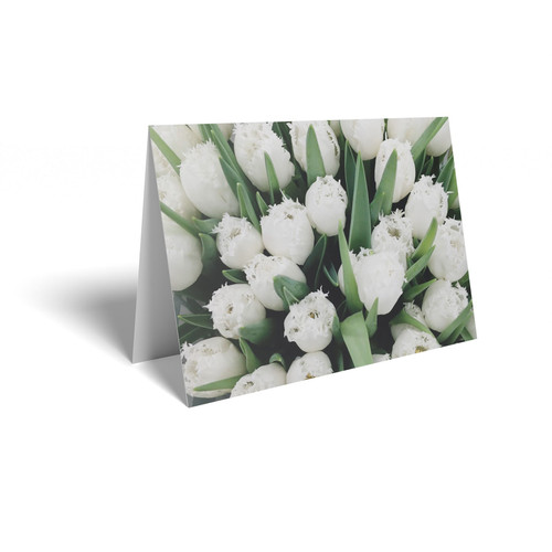 White Tulips Folded Card with Care Info (pack of 25) White Tulips Folded Card with Care Info (pack of 25)