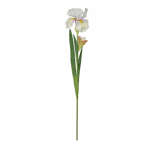 White Monet Iris (87cm) White Monet Iris (87cm)