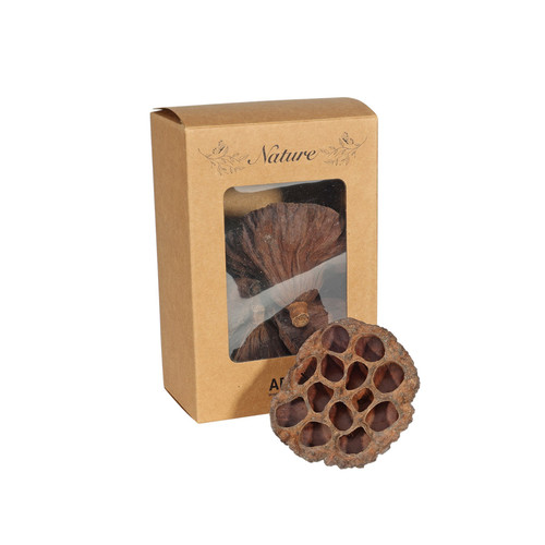 Dried Lotus Heads in Box (Pack of 5)  Dried Lotus Heads in Box (Pack of 5)
