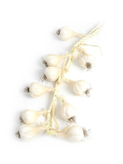 Artificial Hanging Garlic (50cm) Artificial Hanging Garlic (50cm)